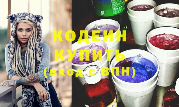 индика Козловка