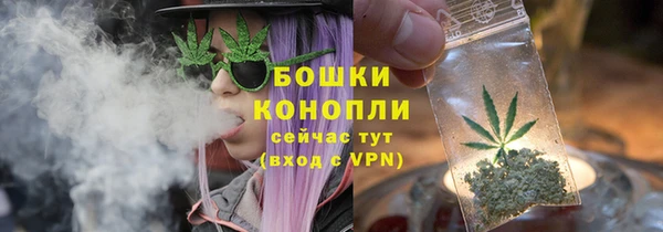 сатива Козельск