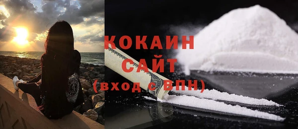 сатива Козельск