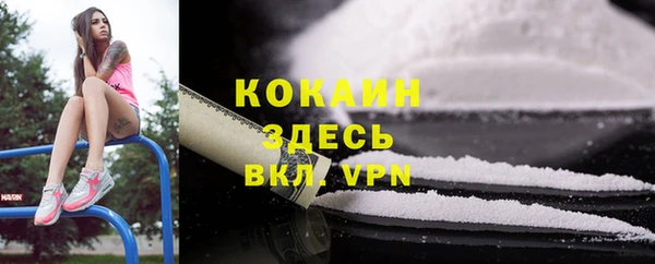 сатива Козельск