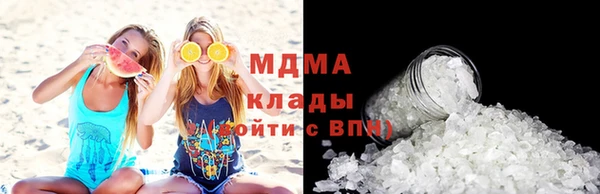 индика Козловка