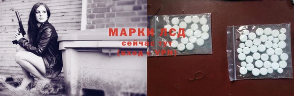 индика Козловка