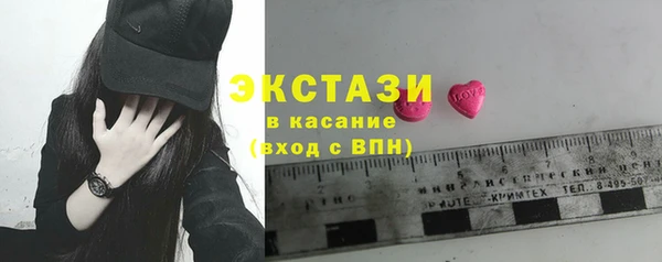 индика Козловка
