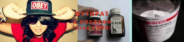 сатива Козельск