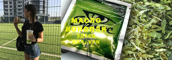 индика Козловка