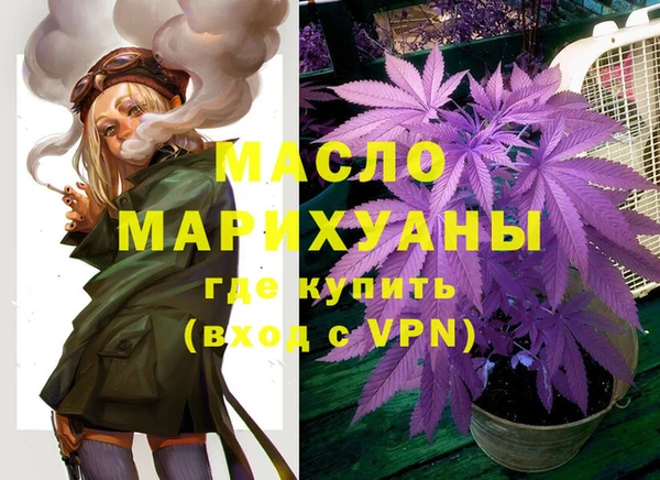 индика Козловка