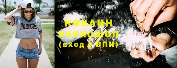 сатива Козельск