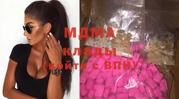 индика Козловка