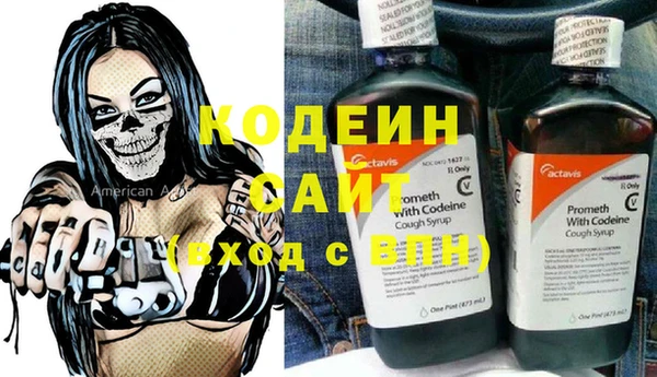 дурь Кодинск