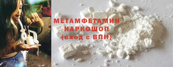 сатива Козельск