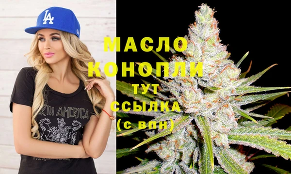 индика Козловка