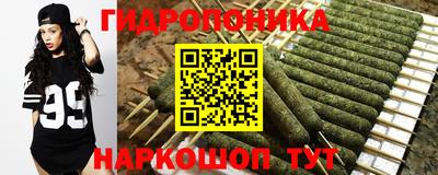 крисы Пугачёв