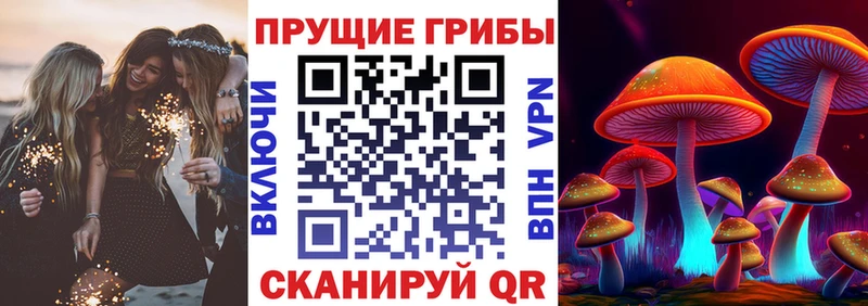 MEGA рабочий сайт  купить закладку  Минеральные Воды  Галлюциногенные грибы мицелий 