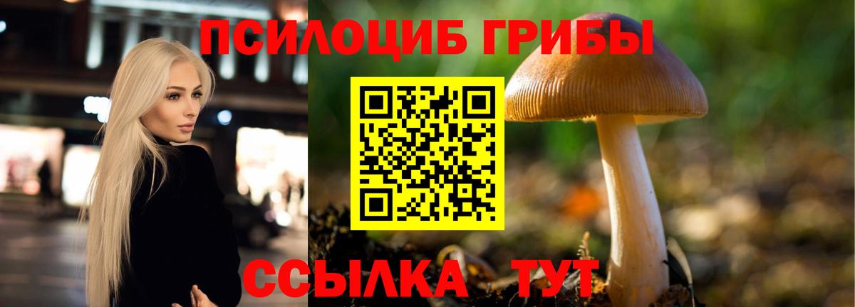 Псилоцибиновые грибы мухоморы  Вход с VPN  Минеральные Воды  цены   Псилоцибиновые грибы прущие грибы 